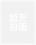 沉默的谎言女声版